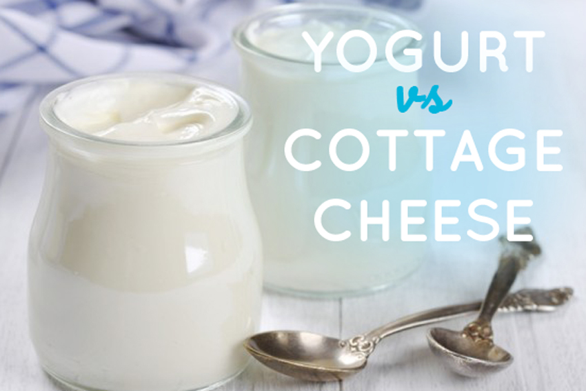 Yogurt Vs Cottage Cheese FizzUp