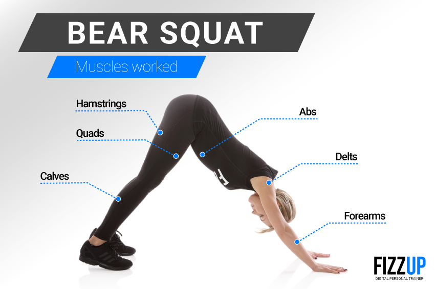 bear_squat_02