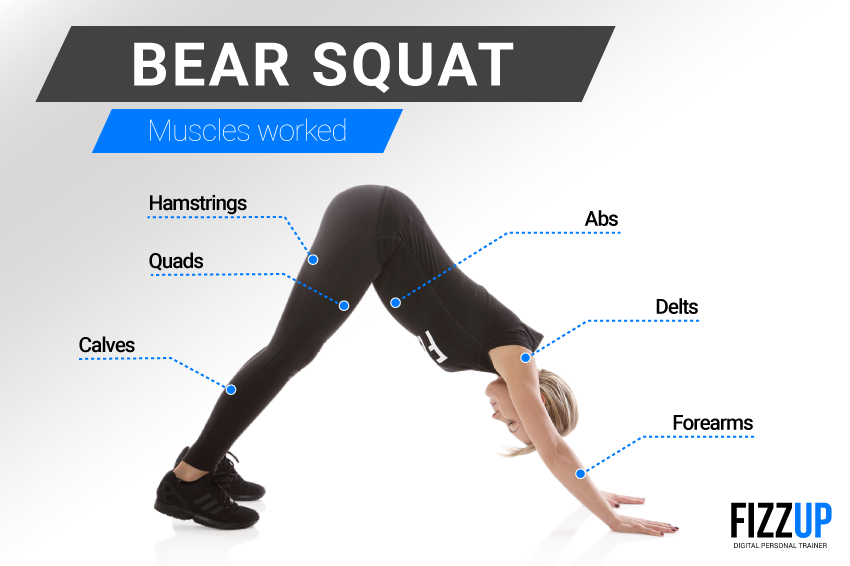 Bear squat best sale push up