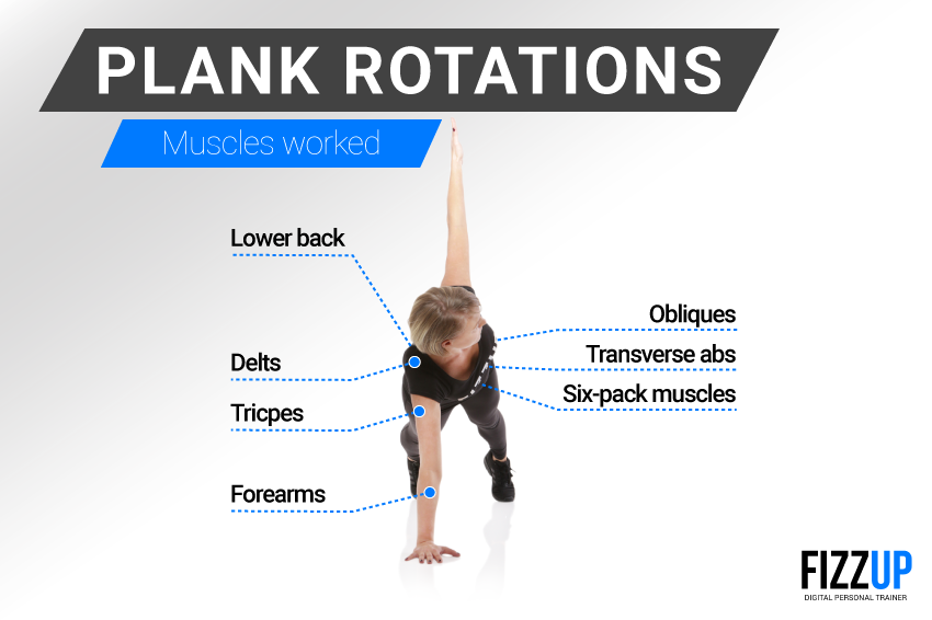 Plank Rotations A Unique Core Strengthening Exercise FizzUp