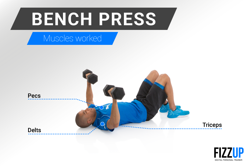 bench press 02