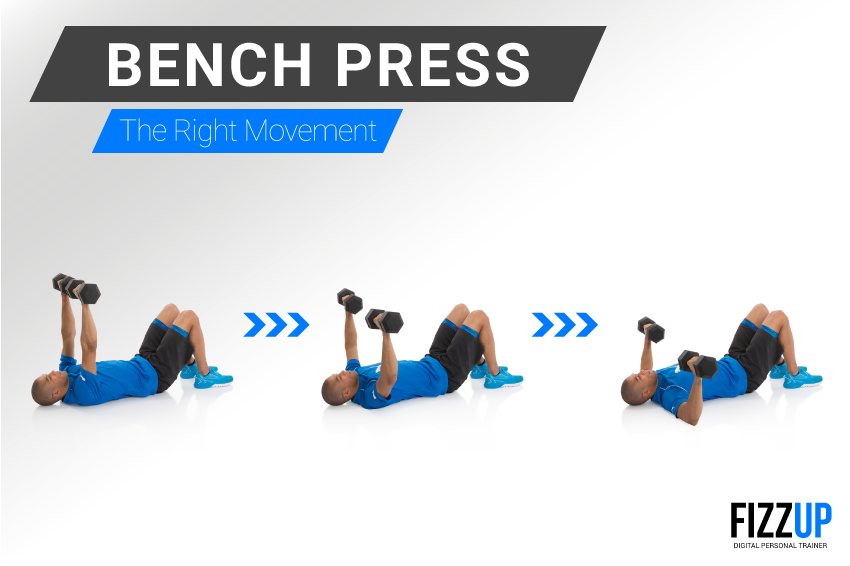 bench press 01