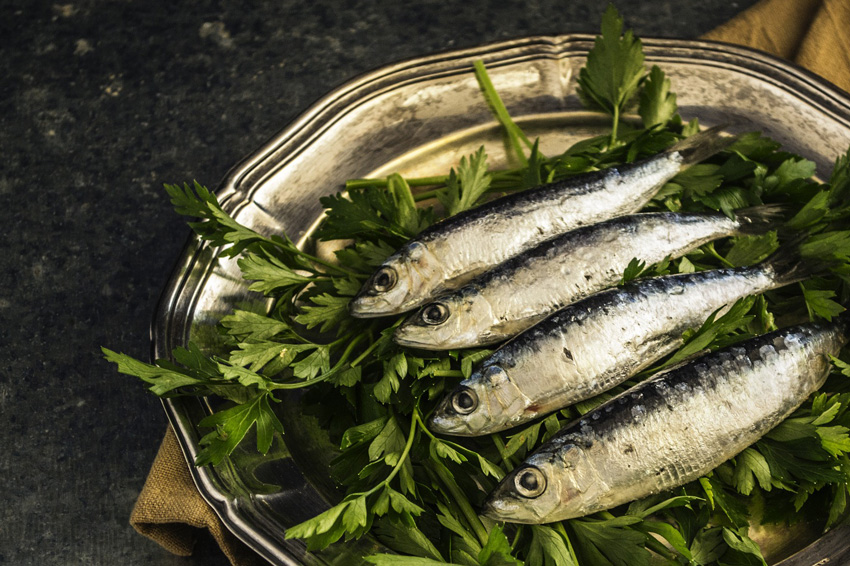 sardine recipes 01