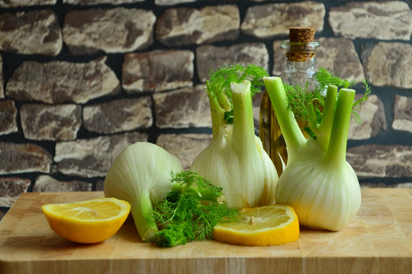 fennel 01