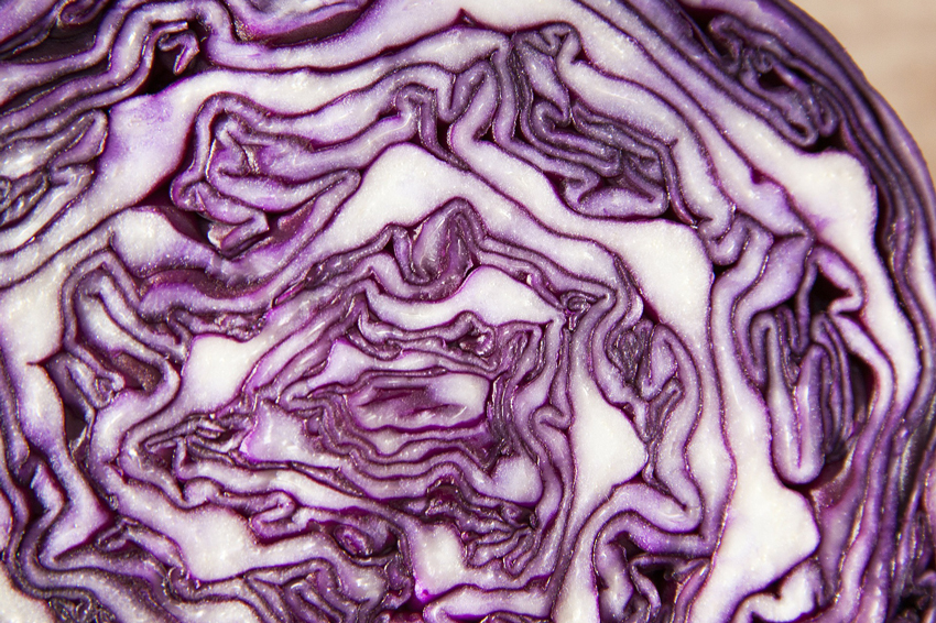 recipe for red cabbage 03