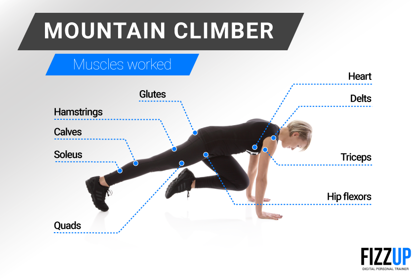 Mountain Climber Exercise