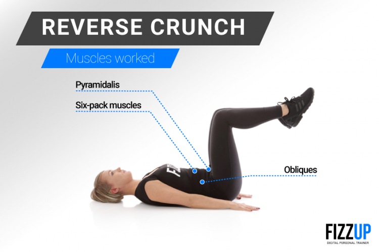 get-abs-of-steel-with-reverse-crunches-fizzup