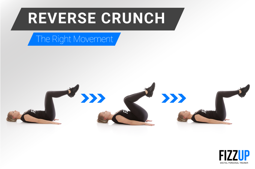 Reverse Crunches Exercise Medicine Ball Reverse Crunch Oxygen Mag