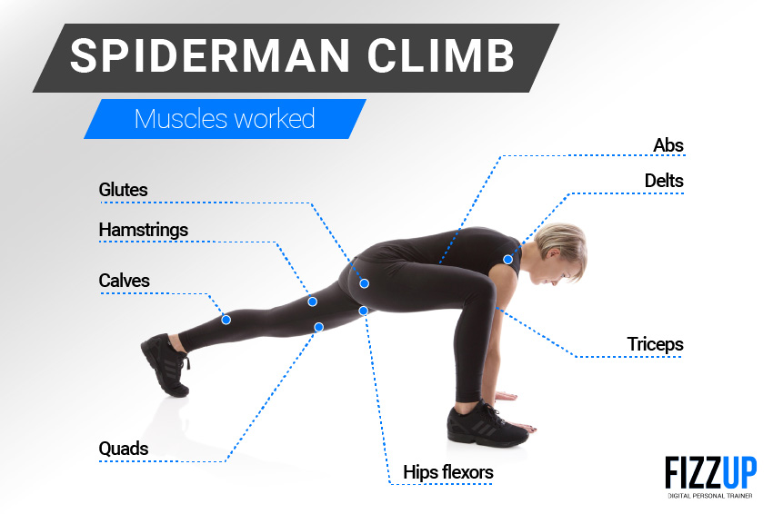 The Spiderman Climb: A Great Cardio Exercise | FizzUp