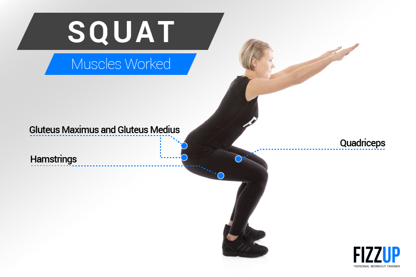 Squats: An Ideal Exercise for Building Leg Muscle
