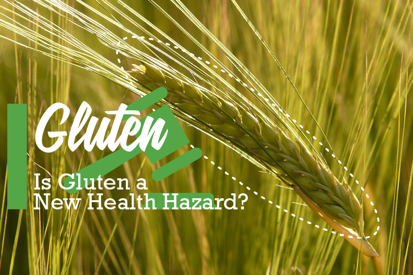 Is Gluten a New Health Hazard? FizzUp