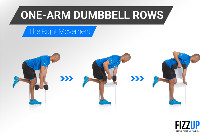 one arm dumbbell row muscles worked