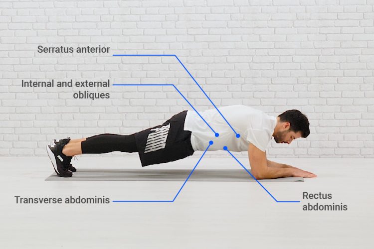 Mistakes to Avoid for the Perfect Plank | FizzUp