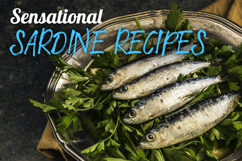 3 Sardine Recipes FizzUp