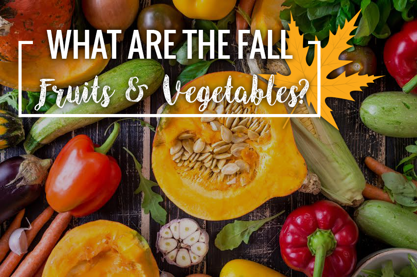 What Are the Fall Fruits and Vegetables? | FizzUp